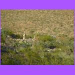 Base of Mountain.jpg